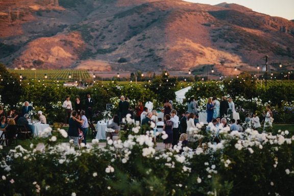 wedding-reception-in-vineyard